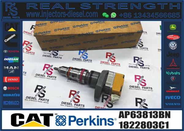 diesel engine parts fuel injector AP63813BN 1822803C1 BN1830693C3 593597C91R