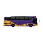 Asiastar Dual Windshields Luxury Coach Bus Body Length 12000mm