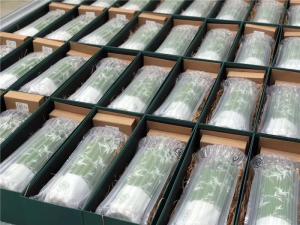 Quality Air Cushion Packaging Bags Shock Proof , Inflatable Packing Air Bags Different Size wholesale