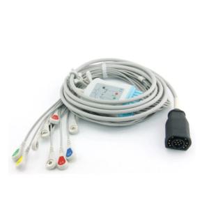 Quality Adult 3m Zoll 10 Lead ECG EKG Cord 15 Pin For M And E Serie wholesale