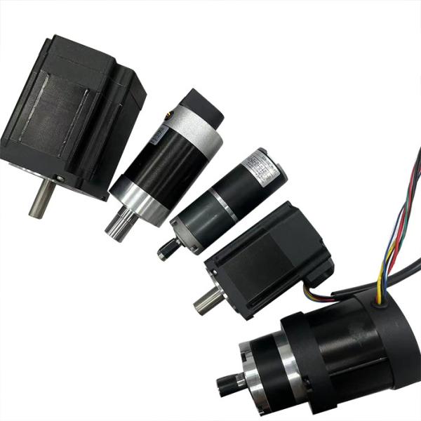 High Torque Electric Dc Machinery Motor 12v 24v 36v 48v for Industrial
