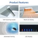 One Piece Ceramic Electronic Intelligent Toilet , Integrated Electric Toilet