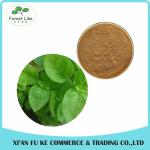 Free Sample 100% Natural Sweet Basil Extract Powder