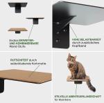 Offering Small Animals the Opportunity to Climb and Observe Black Powder Coated