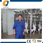 1500BPH Poultry Processing Equipment 380V / 220V Poultry Dressing Plant