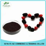 Hight-quality Instant Freeze Dried Mulberry Extract Fructus Morin Powder