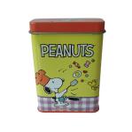 Personalized Food Grade Nuts Tin Candy Box With Hinged Lid For Nuts Packaging