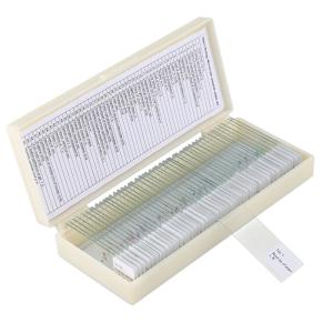 Quality Small 50pcs School Education 22x22mm Label Microbiology Prepared Slides wholesale