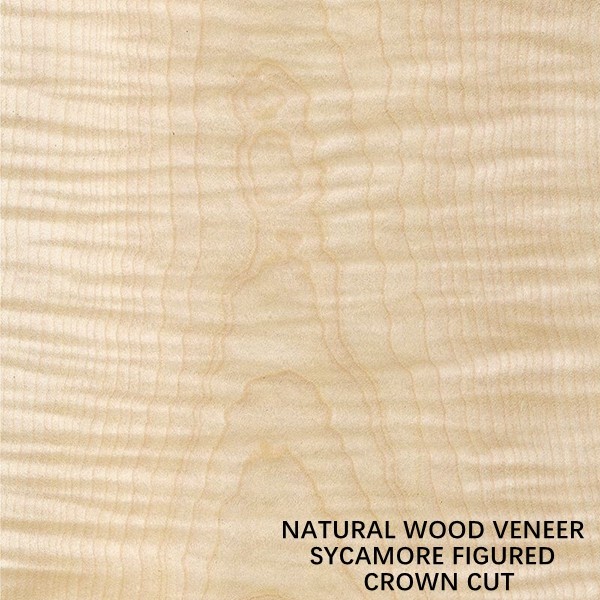 Europe Natural Figured Sycamore Wood Veneer Flat Cut Crown Cut Thickness 0.5mm For Dying And Cabinet