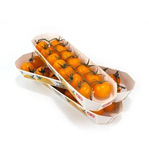 Quality Cherry Tomato Fruit And Veg Cardboard Boxes , Compostable Paper Food Boat Tray wholesale