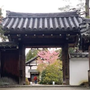 Quality Traditional Thickness 10mm Japanese Roof Tiles Roofing Material High Wind Resistance wholesale