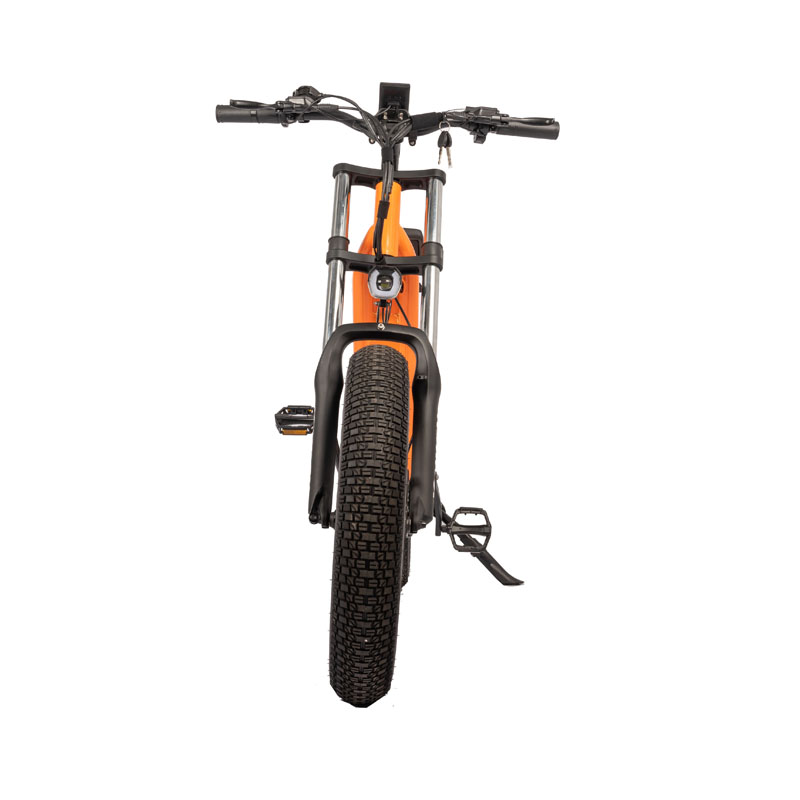 48V Electric Bike with 13Ah Battery 750W 1000W Motor 7 Speed 20" Tire and 180KG Load