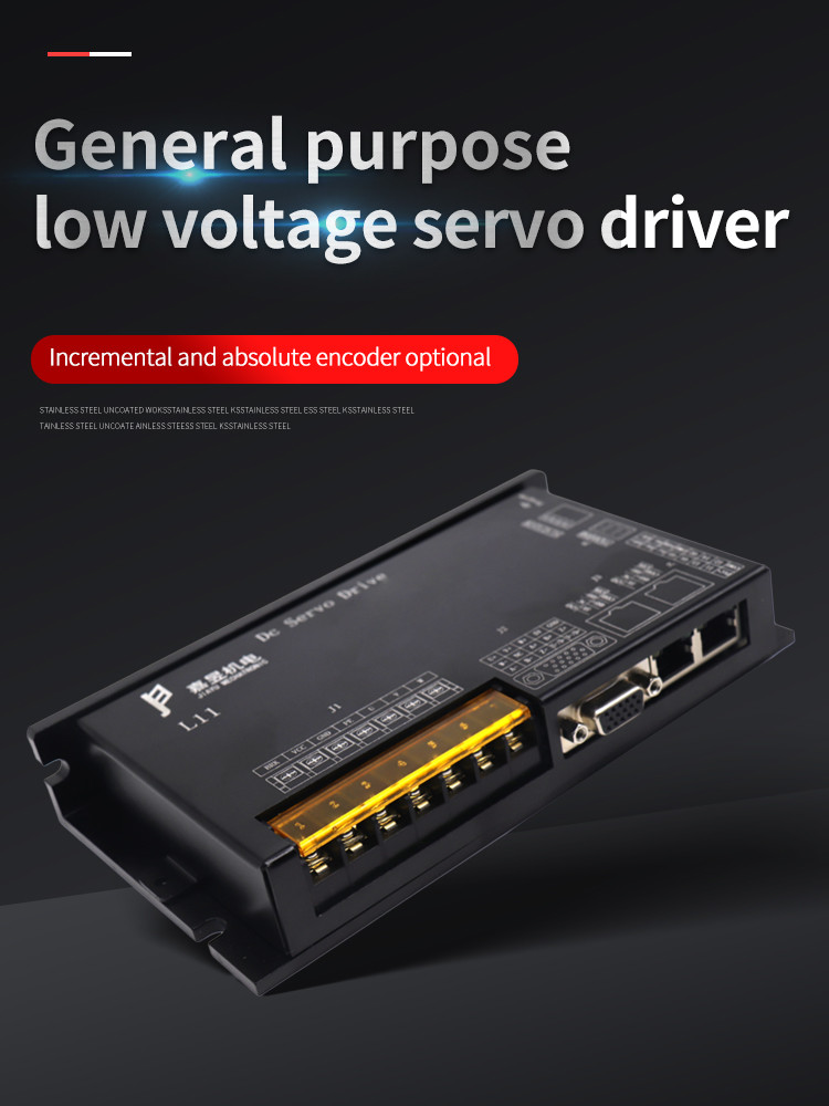 High Precision 24 - 80V Low Voltage DC Servo Drive For Robot