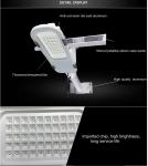 30W LED Outdoor Garden Panel White Solar Street Lamp