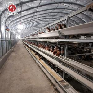 Quality H Type Layer Chicken Cage Hot Dipped Galvanised Chicken Farm wholesale