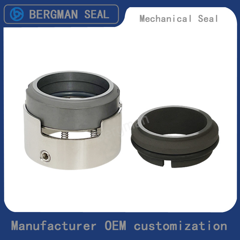 BERGMAN H75 H76 25mm-100mm G60 G4 G6 G9 G13 G16 BS Bo BP Pump Mechanical Seal
