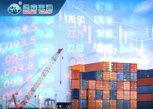 Quality LCL Ocean / Sea Freight Forwarder Container Cargo Transportation Amazon Fba wholesale