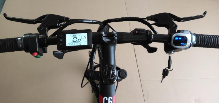 1000 Watt 26 Inch Electric Mountain Bike Brushlessgeared 13AH