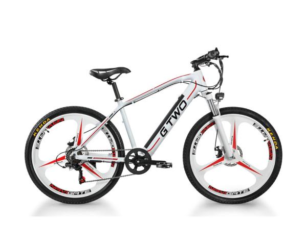 Magnesium Alloy Hidden Battery Electric Bicycle 48V 250W 350W 26 / 27.5 Inch Hub