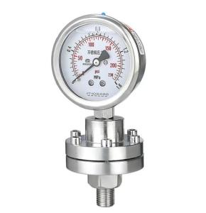 Quality YTP-100 SS Pressure Gauge Shock Resistant 100mm 150mm Diaphragm Pressure Gauge wholesale