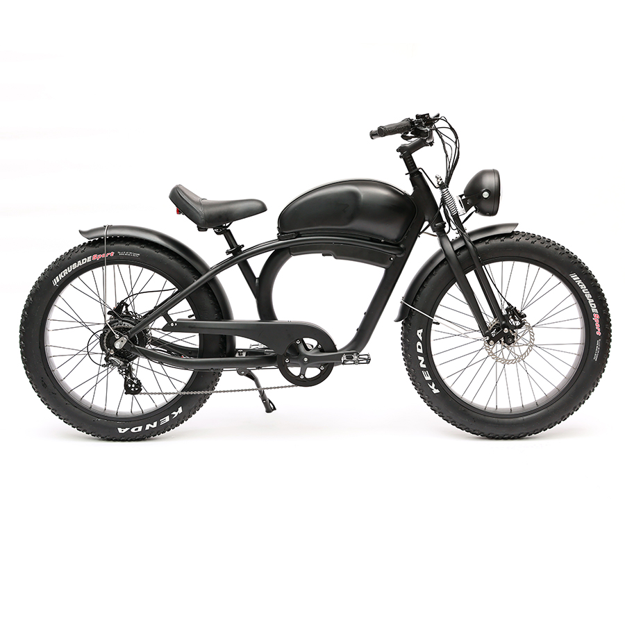 Long Range 48V 750W Rear Hub Motor Electric Motorbike with 48V 20Ah Lithium Battery