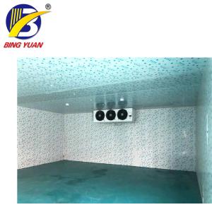 Quality cold storage room cold room panels polyurethane,fish storage cold room,cold room for sale wholesale