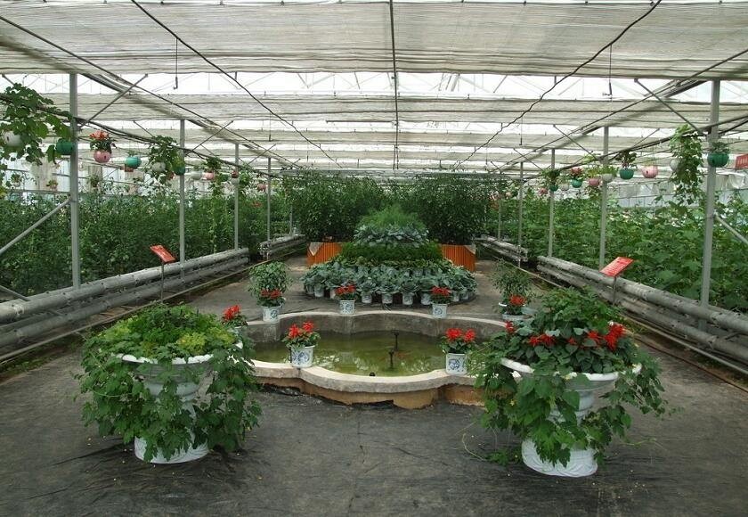 Exhibition Commercial Outdoor Greenhouse , Flower Growing Large Green Houses