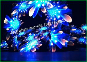 Quality Indoor P6 Advertising LED Display Die Casting Aluminum SMD3528 LED Chip wholesale