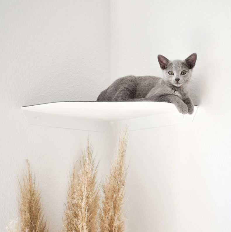 Standard Copper Cat Wall Plate Shelves Steps for Wall Mounted Cat Scratching Platform