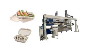 Quality Disposable Pulp Molding Meat Tray Production Machine wholesale