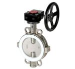 Ductile Iron DI WCB SS304 Stainless Steel Ptfe Split Body Butterfly Valve Wafer