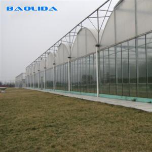 Quality Flowers Planting Agriculture Plastic Film Automatic 9m Multi Span Greenhouse wholesale