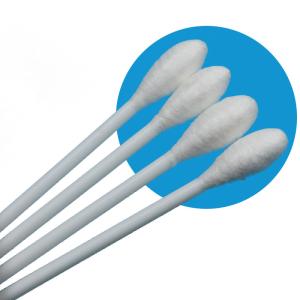 Quality 10cm PP Stick Big Round Head Cotton Bud Medical Qtips Cotton Swab Applicator wholesale