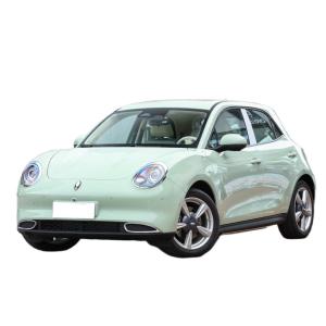 Quality Hot selling Great Wall Oula 401KW adult electric vehicle wholesale