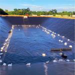 0.5mm 0.75mm Geomembrane Hdpe Greenhouse Film for Aquaculture Fish Farm Pond
