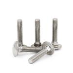 Stainless Steel 304 Neck Carriage Bolts DIN751 Standard And Customized