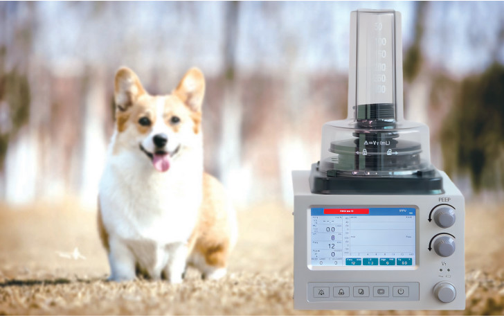 DH6B Veterinary Anesthesia Ventilator With 3 Ventilation Modes IPPV A/C SIMV