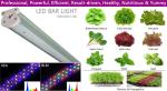 PPFD 60Hz 18w Vegetable LED Grow Lights For Vertical Farming