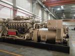 1200kw 1000r/Min H16V190zlz-2 Biogas Generator Jichai for Biogas Electricity