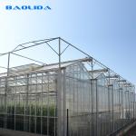 Hydroponics Polyethylene Film Greenhouse Strawberry Multispan Greenhouse