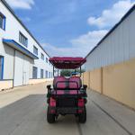 6 Seater Electric Golf Cart 72V Pink Lithium Off Road Street Legal Utility