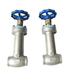 Quality Low Temperature Insulation Globe Valve Cryogenic Valve CJ61F DN10 - DN250 wholesale