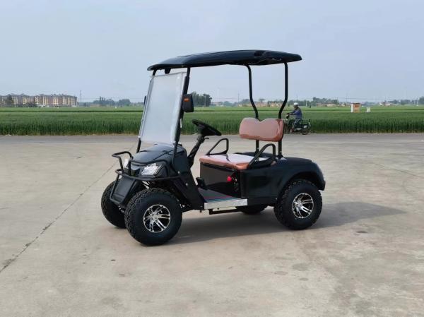 Two Seater Black Classic New Energy Lithium Battery Electric Golf Cart