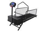 Folding Pet Treadmill Medical Veterinary Equipment , Rehabilitation Training