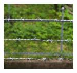 Spiral Barbed Wire Defensive Galvanized Barbed Wire Installation Security Fence