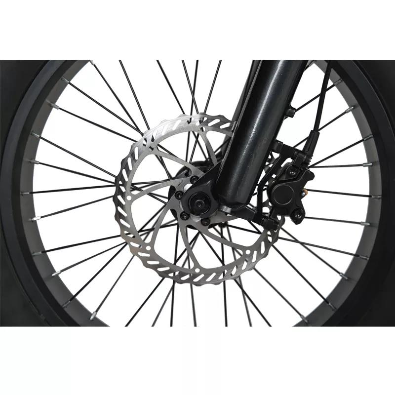 Disc Brake 2023 Style 20" Fat Tire Electric Enduro E-Bike for Off Road MTB Bicycle