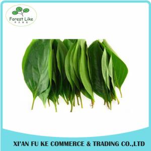 Quality Natural Persimmon Leaf Extract Powder 10:1 20:1 wholesale