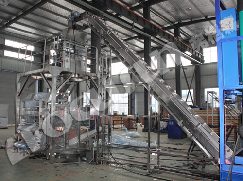 Automatic Grade SUS304/316 Ice Bagger Packing Machine for Hot Popular Promotion 2022