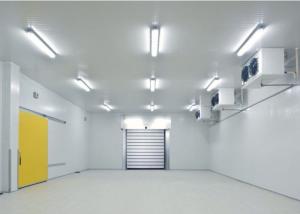 Quality Industrial Modular Freezer Room For Ice Cream / Meat / Fruit Cold Storage wholesale