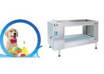 Dog Medical Veterinary Equipment Underwater Treadmill For Hydrotherapy